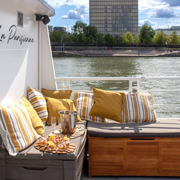 peniche-paris-seine-la-parisienne-terrasse-vue-sur-la-seine